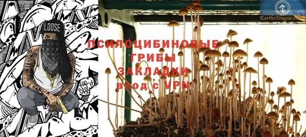 ПСИЛОЦИБИНОВЫЕ ГРИБЫ Верхний Тагил