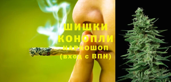 ПСИЛОЦИБИНОВЫЕ ГРИБЫ Верхний Тагил