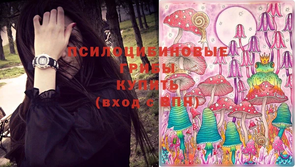 ПСИЛОЦИБИНОВЫЕ ГРИБЫ Верхний Тагил