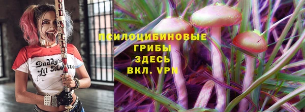 ПСИЛОЦИБИНОВЫЕ ГРИБЫ Верхний Тагил