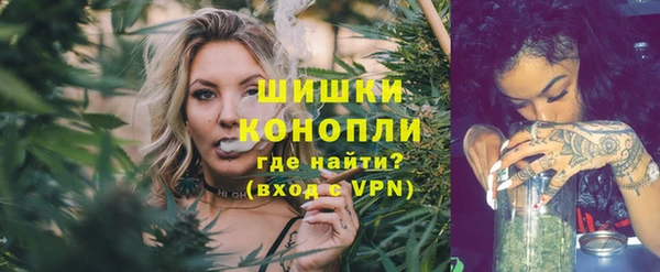 ПСИЛОЦИБИНОВЫЕ ГРИБЫ Верхний Тагил