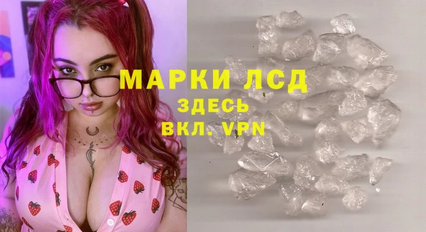 ПСИЛОЦИБИНОВЫЕ ГРИБЫ Верхний Тагил