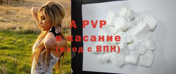 ПСИЛОЦИБИНОВЫЕ ГРИБЫ Верхний Тагил