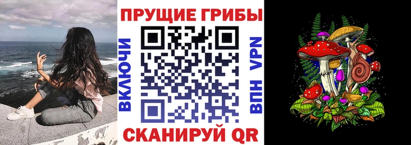 Галлюциногенные грибы мицелий  Галич 